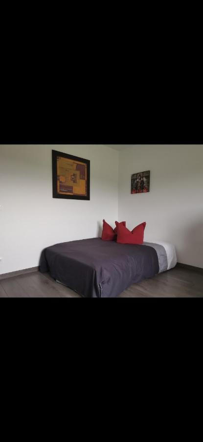 Chez Manu Apartman Voellerdingen Kültér fotó