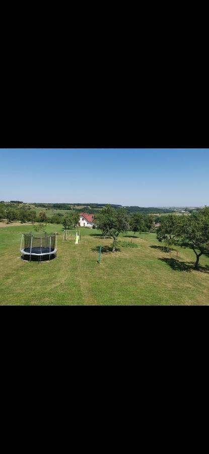Chez Manu Apartman Voellerdingen Kültér fotó