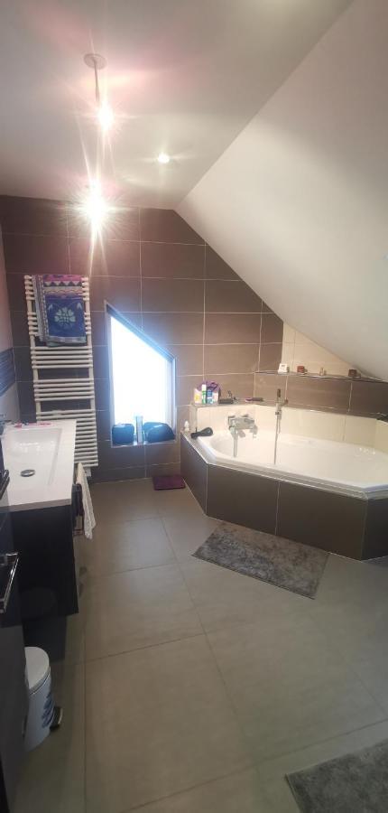 Chez Manu Apartman Voellerdingen Kültér fotó
