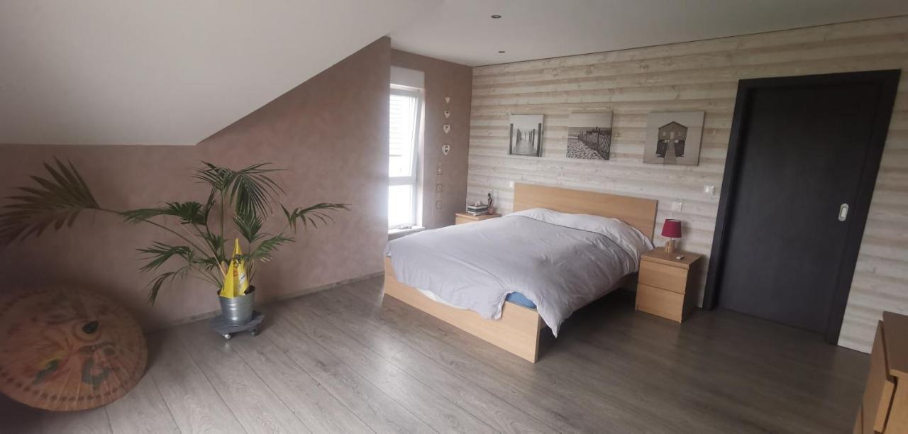 Chez Manu Apartman Voellerdingen Kültér fotó